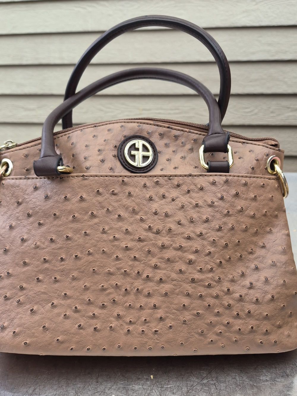 Giani Bernini Brown Textured Ostrich Embossed Satchel with Dark Brown Handles